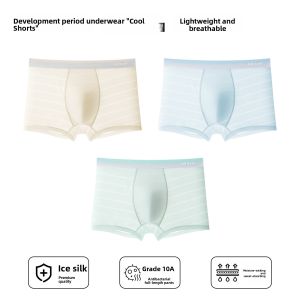 Miiow | Ice Silk Boys Underwear Development Period Mesh Shorts Four Corner Casual Comfortable Breathable Sweat Absorbent Nylon Spandex