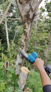 Cordless chain saw 6 inch Garden tools 399V Battery Multi-function electric chain saw Portable mini saw Landscape cutting/branches 1~2 batteries（15000mAh）+1 chain Brushless charging high power