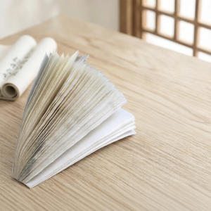 Jiaxun | Ink Absorbent Calligraphy Paper for Light Ink Use 100 Sheets