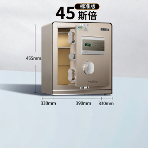 Fingerprint and Password Safe Large