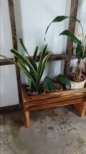 ชั้นวางต้นไม้ ดิจิทัล 20 ชั้น ตะกร้าใส่กระถาง ตะกร้าผ้า ที่ใส่ร่ม ใส่ไม้กวาด ใบใหญ่ กล่องเก็บของ ชั้นวาง ตะกร้าไม้ เปรียบเทียบมากของกระบวนการทำจากไม้ โดนน้ำโดนแดดได้