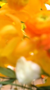 Dung dịch vệ sinh Dạ Hương Daily Fresh Dưỡng Ẩm Nhạy Cảm Toàn Diện