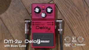 BOSS DM-2W Delay Pedal Waza Craft Stompbox