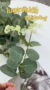 ใบยูคาลิปตัส ใบกลม ปักแจกัน ใบไม้ประดิษฐ์ ก้านยูคาลิปตัส ใบไม้ปลอม ใบยูคา ของตกแต่งห้อง พร๊อพถ่ายรูป🌿