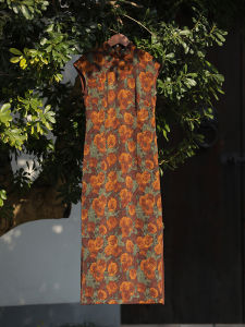 Retro Jiangnan Quilted Cheongsam Shanghai Style New Chinese Version 2025 Spring Summer Advanced Sensation Daily Long Cheongsam