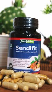 Obat Herbal Nyeri Lutut Asam Urat Reumatik Saraf Kejepit Sakit Pinggang Pegal Linu Kebas Kesemutan Dengan Sendifit
