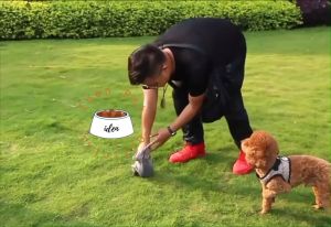 Sekop Capit Poop Anjing Alat Pengangkat Kotoran Hewan Dog Poop Picker Cleaner