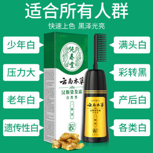 Hanfeng Yunnan Herbal Black Hair Dye Easy to Comb Color Bubble Dyeing Paste Home Use Cover Grey Popular Hair Coloring Gel