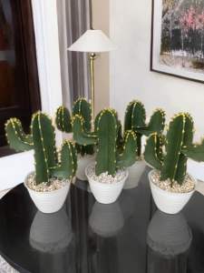 Hiasan Kaktus koboy artifisial/fullset - BM:koboy