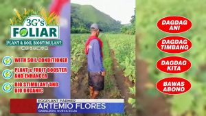 3Gs FOLIAR – SOIL AND PLANT BIOSTIMULANT JAPAN TECHNOLOGY ALL IN ONE SUPER FOLIAR BIO ORGANIC LIQUID FERTILIZER