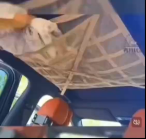 Car Roof Mesh Net Extra Strap Support Storage Bag Organizer Anti Fall Down Glamping Travel Picnic