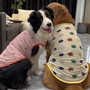 เสื้อกั๊กตาข่ายระบายอากาศบางสำหรับฤดูร้อนสำหรับสุนัขขนาดใหญ่ สวมใส่สบาย ระบายอากาศได้ดี สำหรับสุนัขพันธุ์ Husky Labrador Retriever