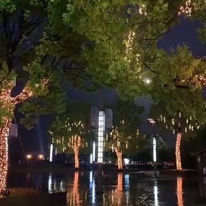 DELILAH Fairy Lights String Led Christmas Waterproof 3M with 8 Modes for Outdoor Home Garden Wedding Party Holiday Lighting Decoration
