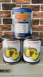 ฟักทอง เชียงทอง เนื้อสีทอง ผิวขรุขระ บรรจุ 30 กรัม / กระป๋อง สิ้นอายุทำพันธุ์ 06 / 69