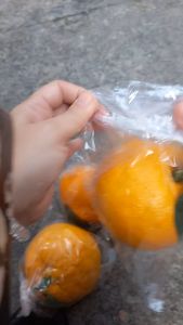 1 Trái cam Sành giả - trái cây giả - TUYET XUAN SHOP