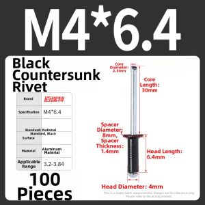 BAIRUITE | Stainless Steel Black Countersunk Head Rivet