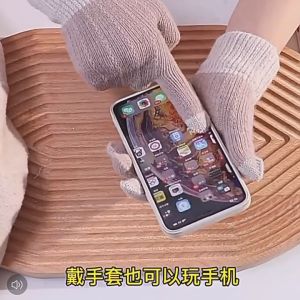 Bao Tay Len Nam Nữ 2 Màu Đính Tag Golov Dày Ấm Cảm Ứng Điện Thoại Tiện Lợi RQN2615 - requane