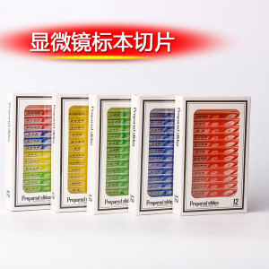 Kids Microscopic Specimen Section Primary and Secondary School Students Biological Science Experiment Popular Science Insect Plant Animal Toy