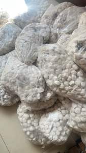 DISTRIBUTOR BASRENG MENTAH SPESIALIS KERIPIK BASRENG