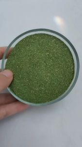 100% bubuk daun kelor original murni