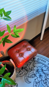 เก้าอี้สตูล สตูลวางเท้าในห้องนั่งเล่น สตูลเปลี่ยนรองเท้าครัวเรือนทางเข้าประตูอุจจาระถุงนุ่ม