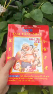 Sách - Lịch Tam Tông Miếu Đinh Mùi 2027 (Chiêm Tinh Gia Nguyễn Anh Toàn)