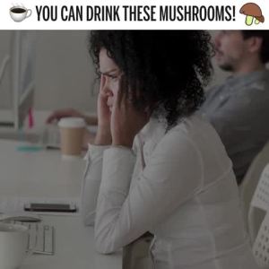 MAJUs Mental Mushroom Powder Extract Strong Lions Mane Chaga Reishi Cordyceps Fruiting Bodies for Coffee Immune System Booster Nootropic Brain Supplement Memory Organic Mushrooms