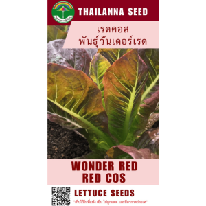 เมล็ดพันธุ์ผักสลัด เรดคอส พันธุ์วันเดอร์เรด ( ขนาด 0.5 กรัม ) รหัสสินค้า 3019