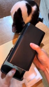 Optoma Proyektor HY320 Android 11.0 HD 4K 1080P 10000 Lumens WIFI 6 Bluetooth 5 Smart Proyektor HDMI Native Projector LCD TV Asli Sistem Operasi 270° Proyektor Yang Dapat Disesuaikan