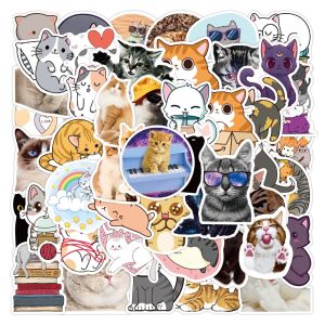 100/50PCS Cute Kitten Lovely Cats Meme Stickers For Helmet Bicycle Hand Account Pencil Case Decals Giajar Sticker Store