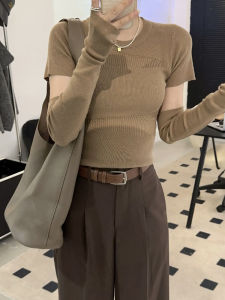 Pure Desire Hollow out Knitted Short T-Shirt Womens Early Autumn New Design Base Layer Shirt Korean Style round Neck Long Sleeve