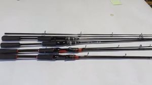 Fishing Rod 1.8m Lure Rod 2 Section Bait Rod Carbon Ultra Light Bait Fishing Rod EVA Handle Suitable for Fresh and Salt Water