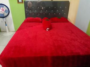 seprai bulu rasfur lembut seprai aja tanpa sarban/sargul