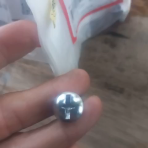 Ốc mặt nạ Sh Ý 2010 ( Hàng Chính Hãng Nhập Mới )