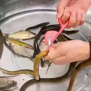 DAO MỔ CÁ - MỔ LƯƠN - LÀM LÒNG DA CẦM - ĐỒ DÙNG CẦM TAY BẰNG NHỰA DỄ SỬ DỤNG CHO VIỆC CHẾ BIẾN TRONG BẾP