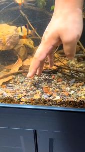 Easy To Operate Siphon Pump Aquarium Cleaner For Fish Tank Cleaning Gravel And Filter Dirt