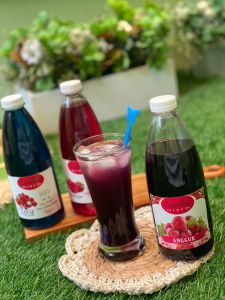 Sirup Syrup Lecii Anggurr Coco Pandann Frambozenn 600ML Premium Homemade