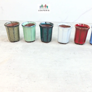 The Leaferie Petit Bonsai Pot (Series 7) plant pots. flowerpot . flowerpots . planter . planters . succulent