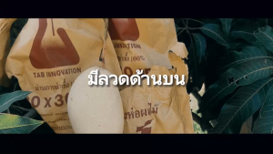 จำนวน 100 ใบ 20 x 30 ซ.ม. ถุงห่อมะม่วง ถุงคาร์บอน ทีเอบี ป้องกันแมลงวันทอง ช่วยให้ผลไม้มีสีและผิวส ถุงห่อมะม่วงชุนฟงแพค