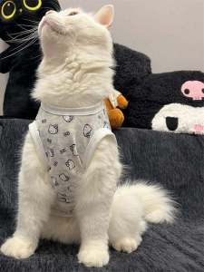 Katie Kitty Cat Clothes Summer Spring Autumn Cute Strap Vest Style Anti-Loss New Model Pet Clothing for Cats