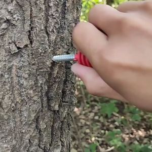 Insulator Pagar Listrik: Mengenal Komponen dan Aksesorisnya