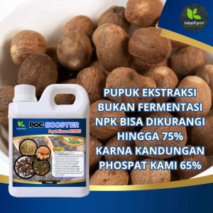 Pupuk Organik Cair INTERFARM POC Booster untuk Pala - Nutrisi Lengkap & Kebahagiaan Tanaman