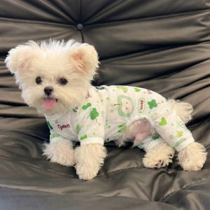 Petone dOrage | Breathable Dust-proof Thin Pet Jumpsuit