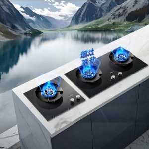 Midea | High Flames Household Gas Stove