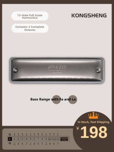 Beginner Adult Professional Full Scale 12 Holes Harmonica