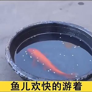 👍Waterproof for 100 years👍 1000g Waterproof Glue with brush Waterproof and heat insulation Quickly dry It is suitable for repairing all kinds of water leaks and cracks Sealant super waterproof glue Waterproof sealant coatings
