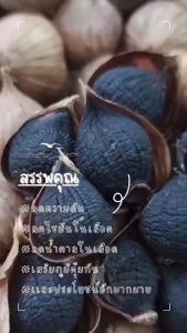 กระเทียมดำ (ขนาด 250 กรัม) Super Black Garlic ซุปเปอร์ แบล็ค การ์ลิค บำรุงร่างกาย ลดความดัน ลดน้ำตาล