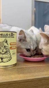 Pate Cho Mèo Hello Cat Tuna - Thức Ăn Cho Mèo Mọi Lứa Tuổi Trong Thạch 400g