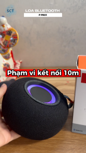 Loa Bluetooth Di Động P PRO 1 Âm Thanh Sống Động – Dùng Cho Du Lịch Dã Ngoại Thể Thao