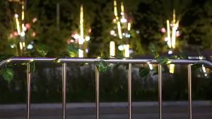 1Pack Green Leaf Fake Plants String Light 2/5/10M New Year Wall House Room Office Birthday Home Bedroom Decortion20 /50/100Led